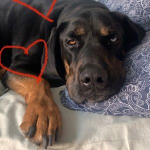 Meet your Posher, Audra